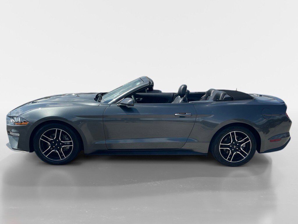 2019 Ford Mustang Oak Ridge TN