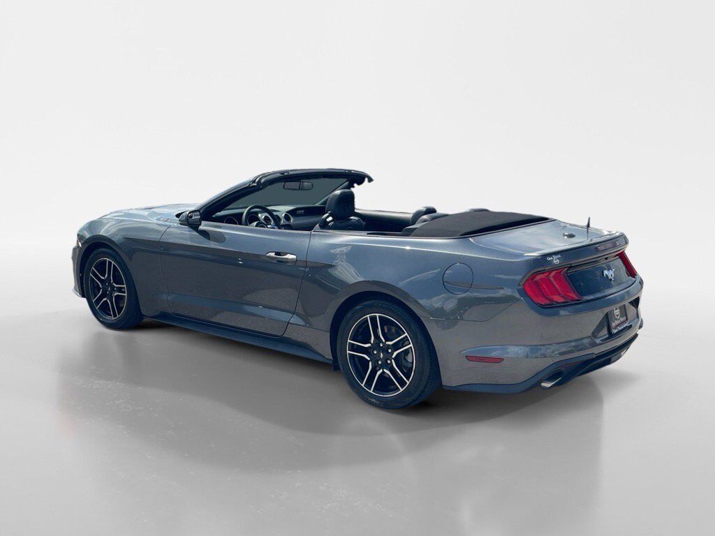 2019 Ford Mustang Oak Ridge TN