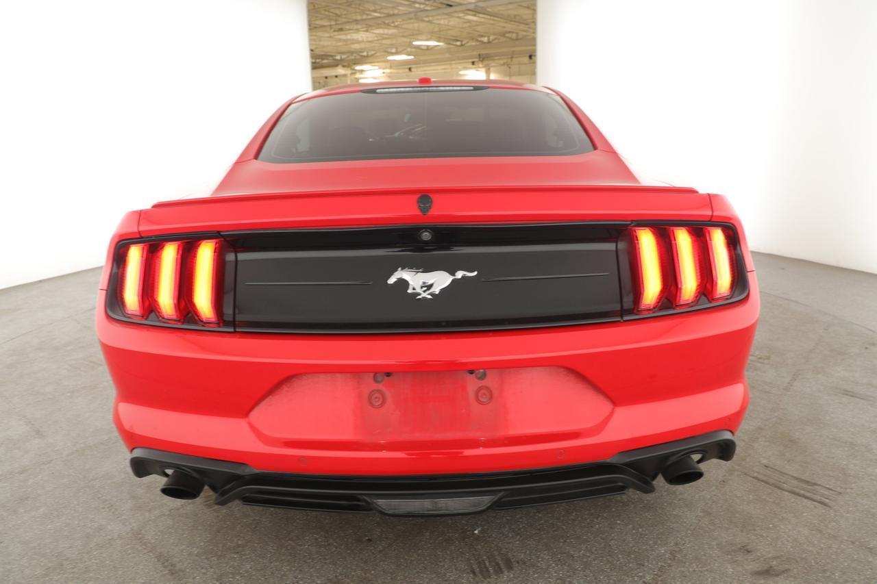 2019 Ford Mustang New Braunfels TX