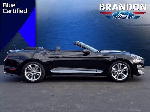 2019 Ford Mustang Tampa FL 2019 Ford Mustang Tampa FL