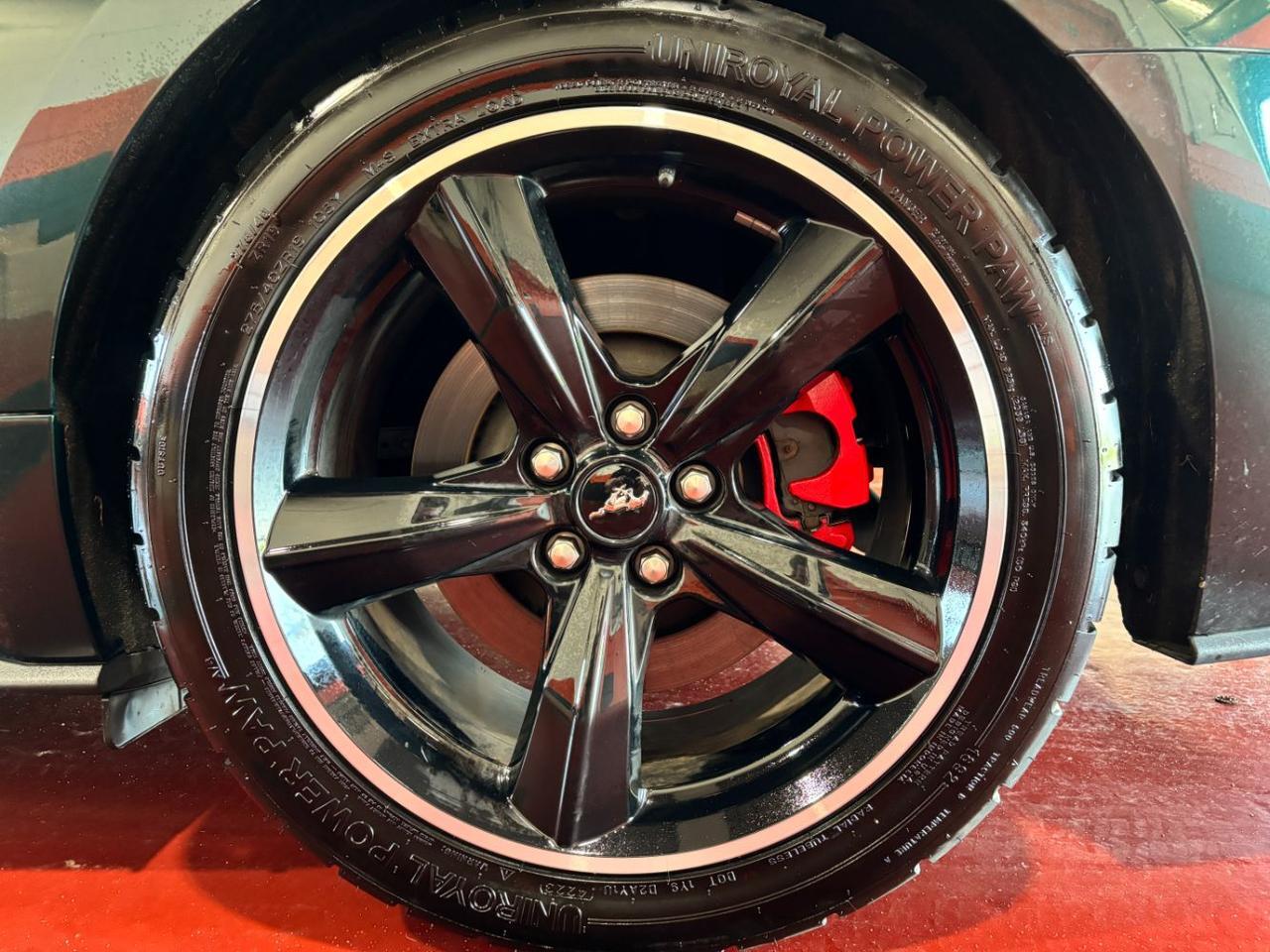 2019 Ford Mustang BULLITT Franklin OH