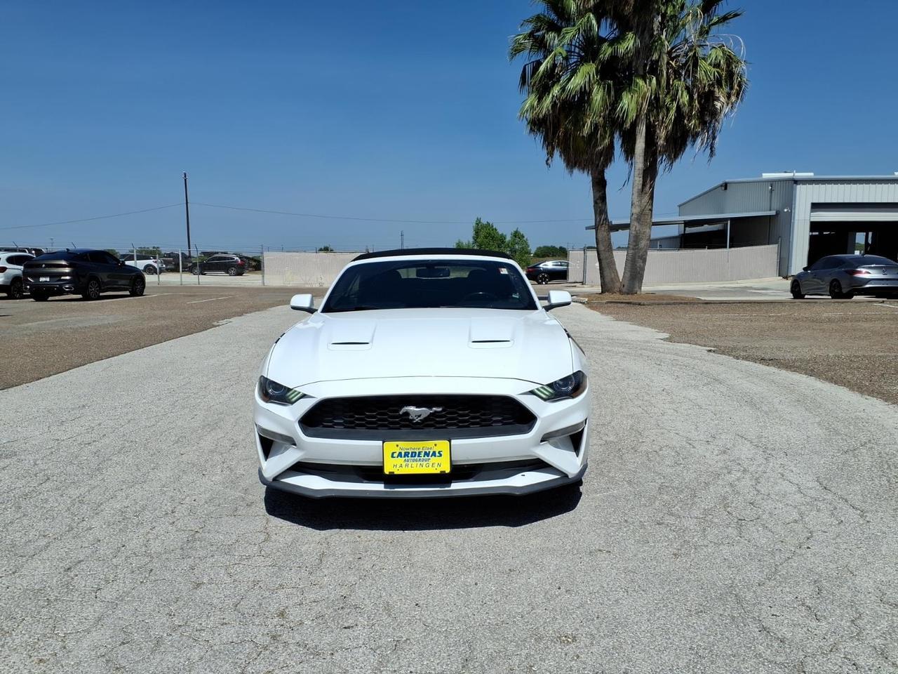 2019 Ford Mustang EcoBoost Harlingen TX