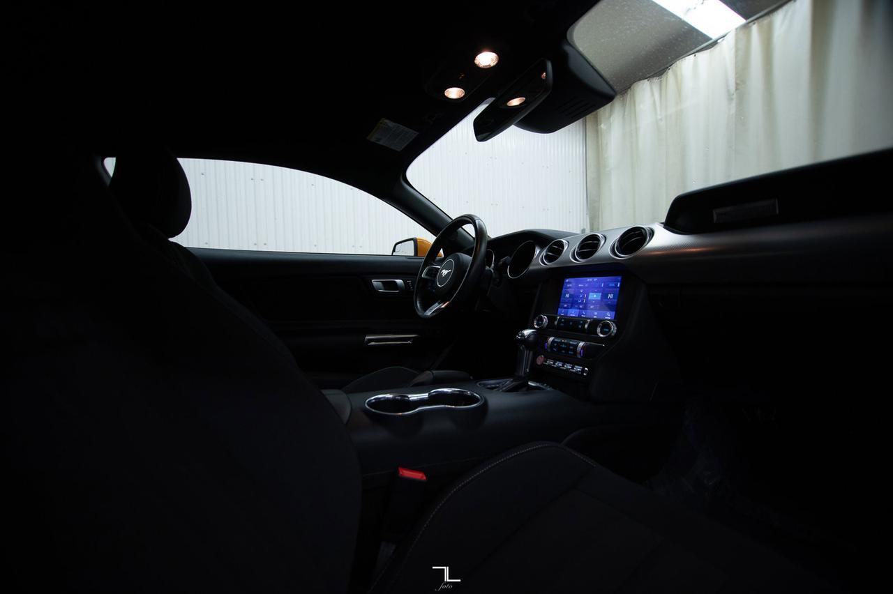 2019 Ford Mustang EcoBoost BCam Red Deer AB