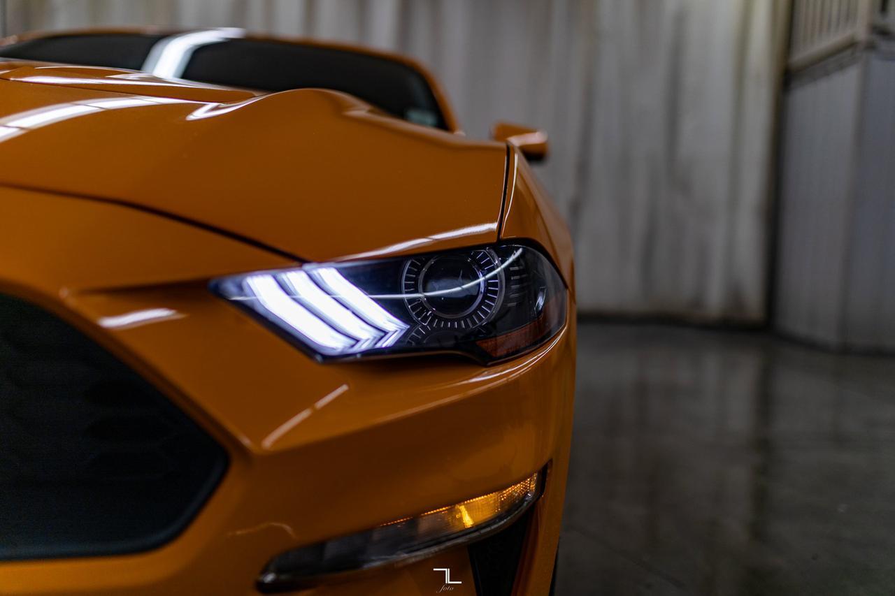 2019 Ford Mustang EcoBoost BCam Red Deer AB