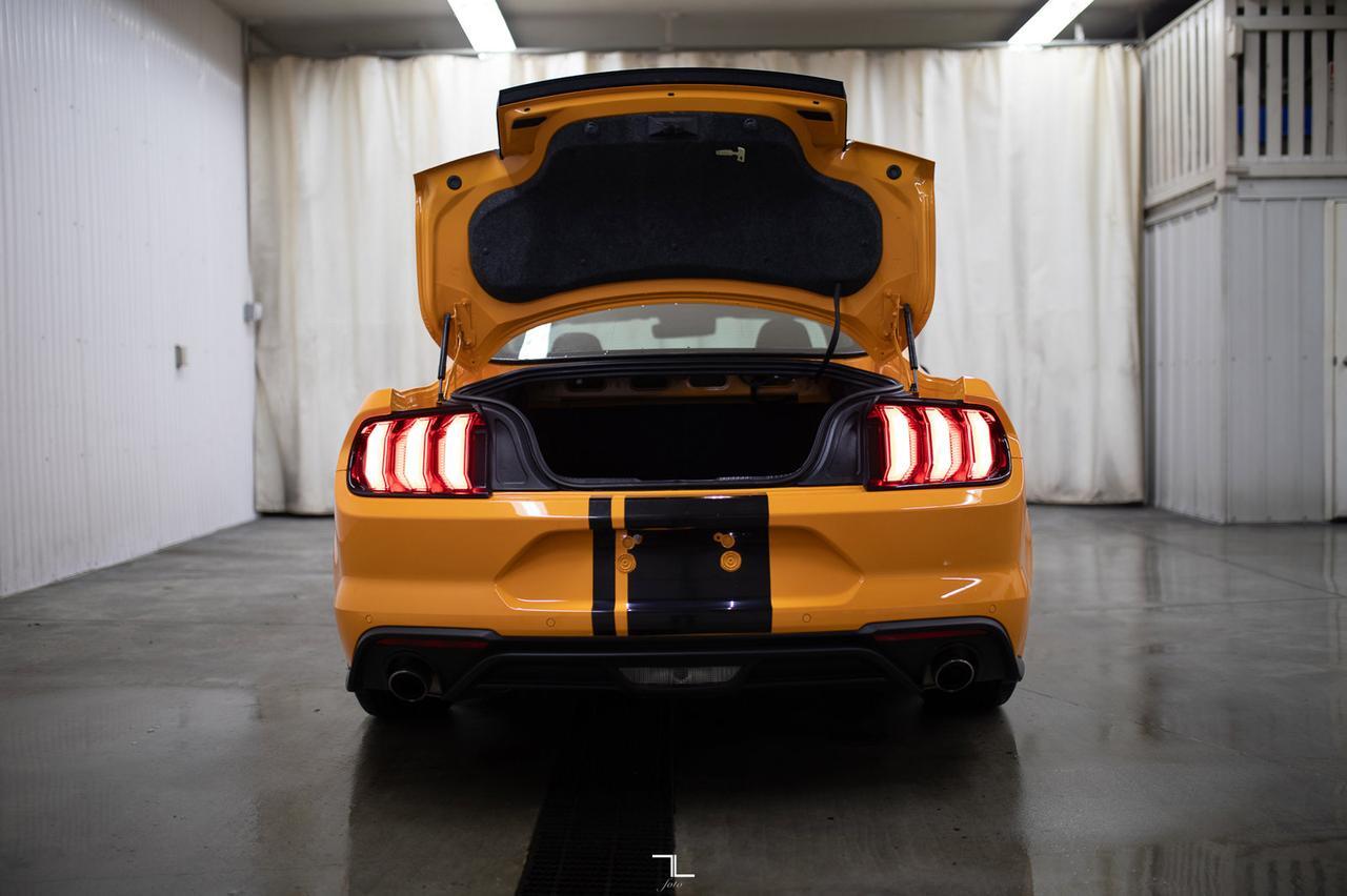 2019 Ford Mustang EcoBoost BCam Red Deer AB