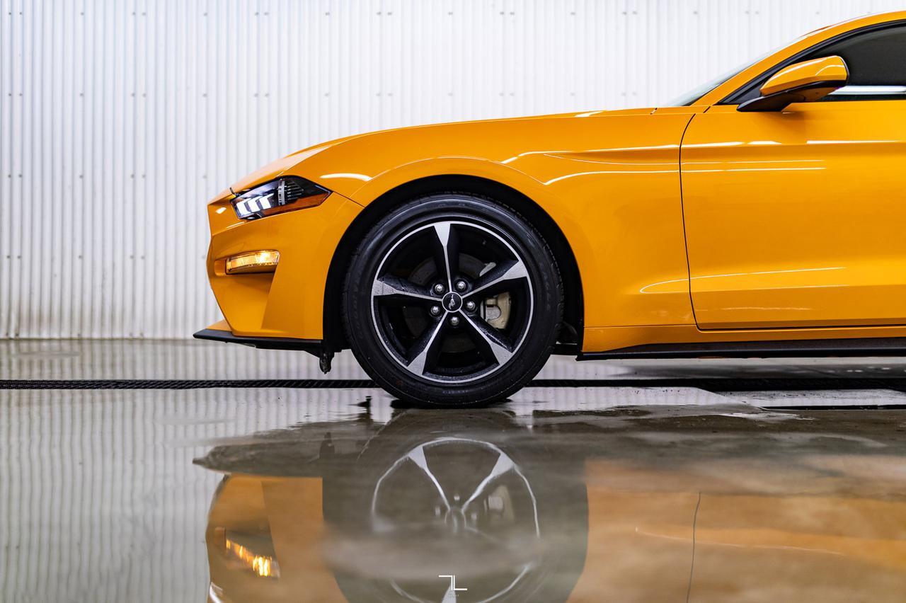 2019 Ford Mustang EcoBoost BCam Red Deer AB