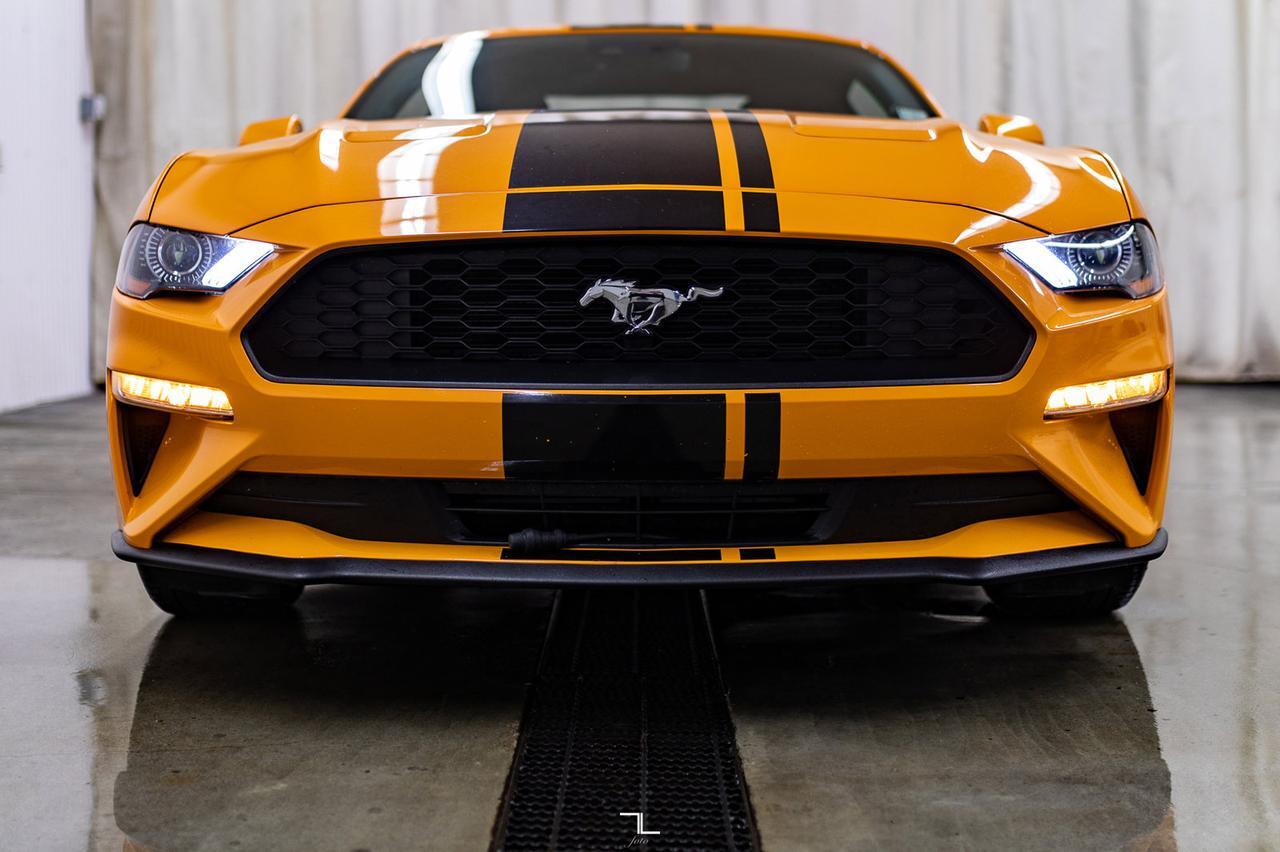 2019 Ford Mustang EcoBoost BCam Red Deer AB