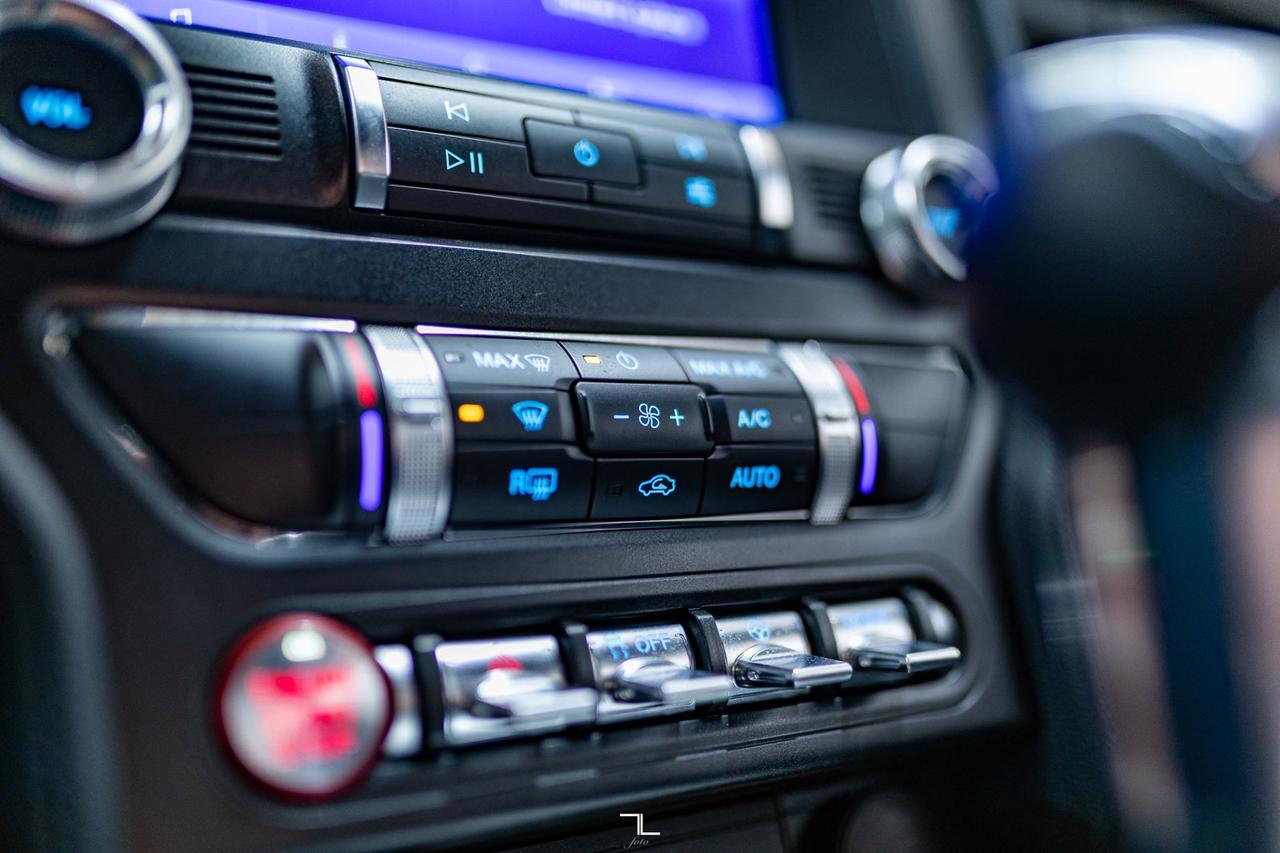2019 Ford Mustang EcoBoost BCam Red Deer AB