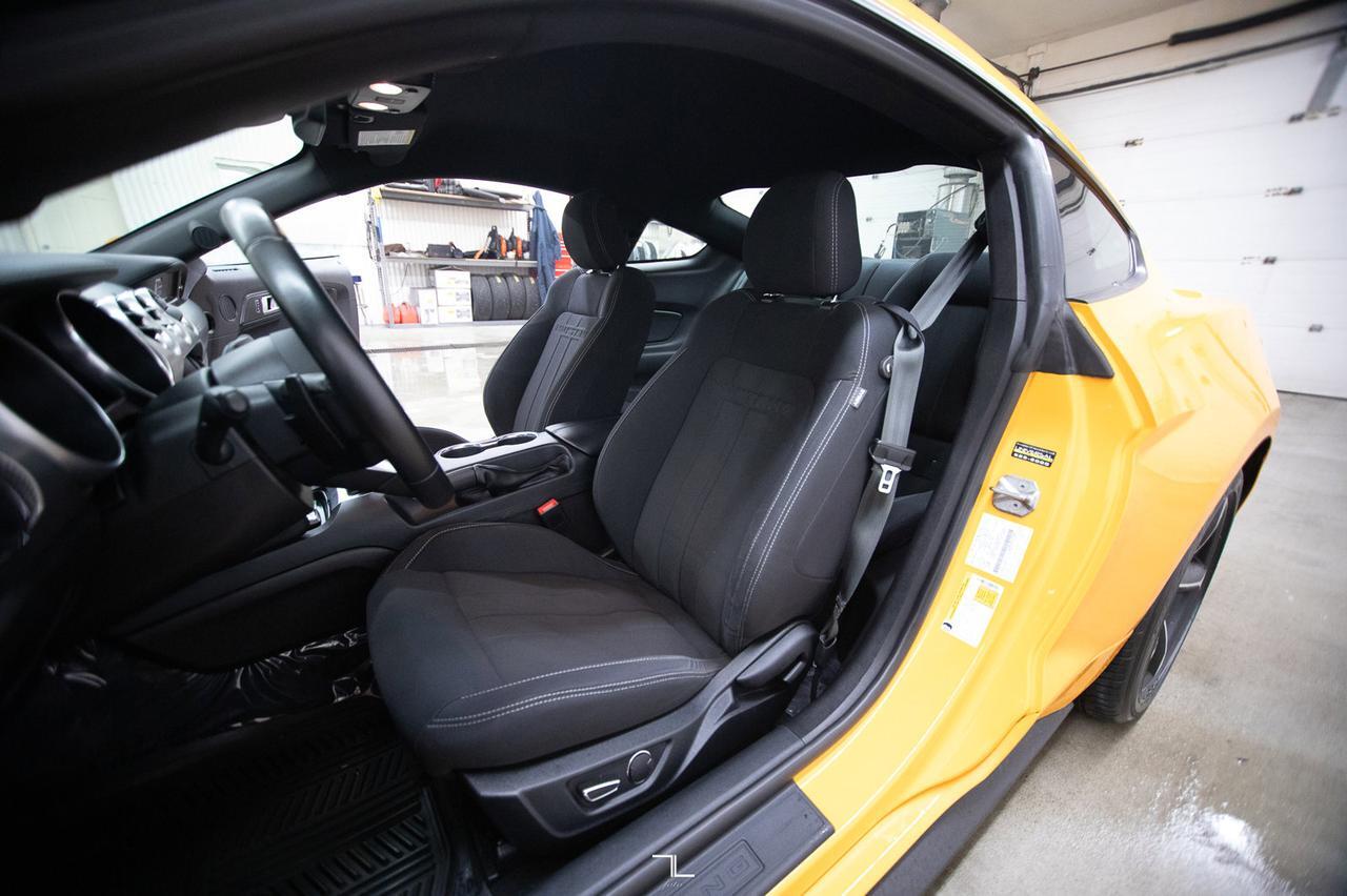 2019 Ford Mustang EcoBoost BCam Red Deer AB