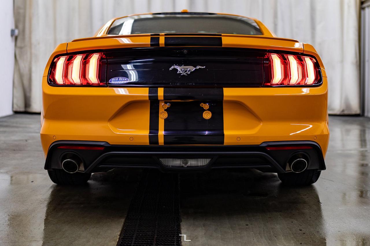 2019 Ford Mustang EcoBoost BCam Red Deer AB