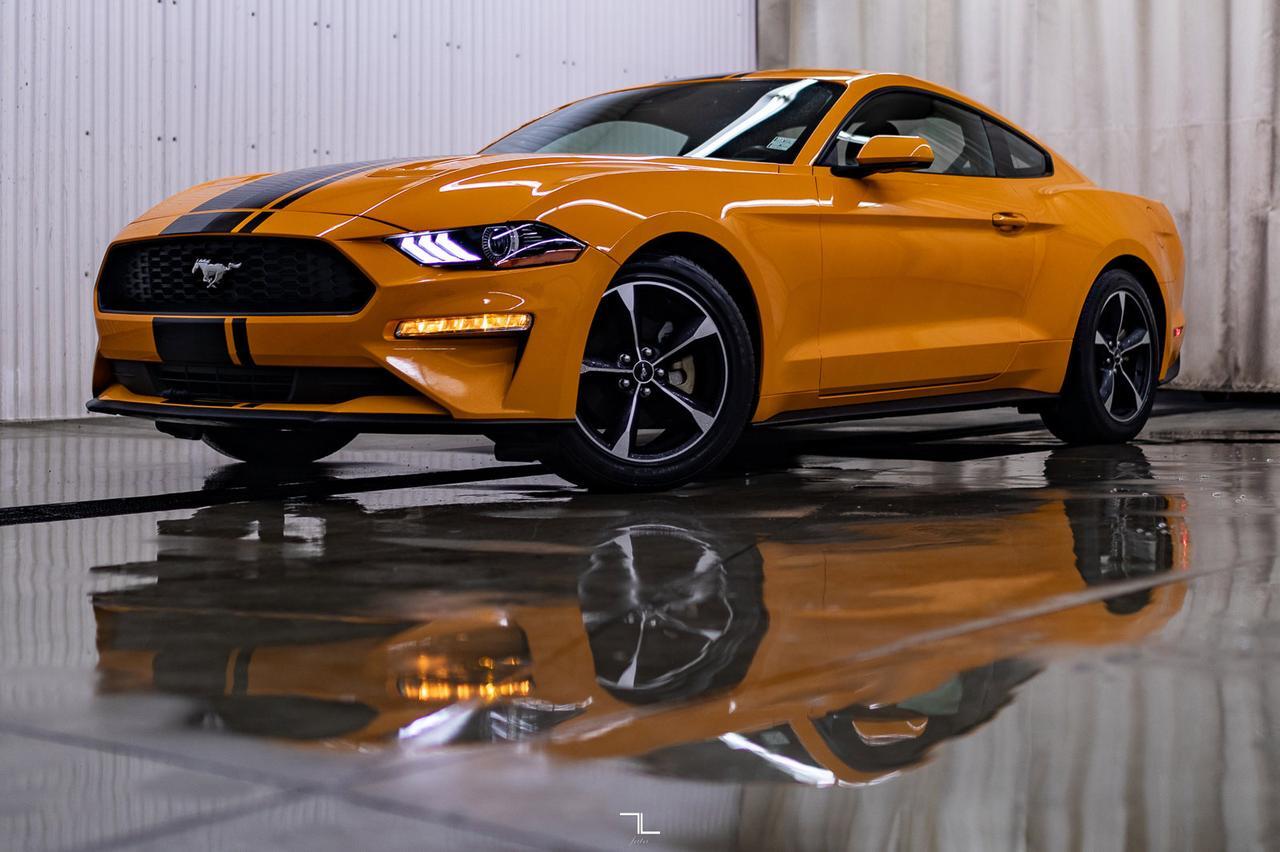 2019 Ford Mustang EcoBoost BCam Red Deer AB