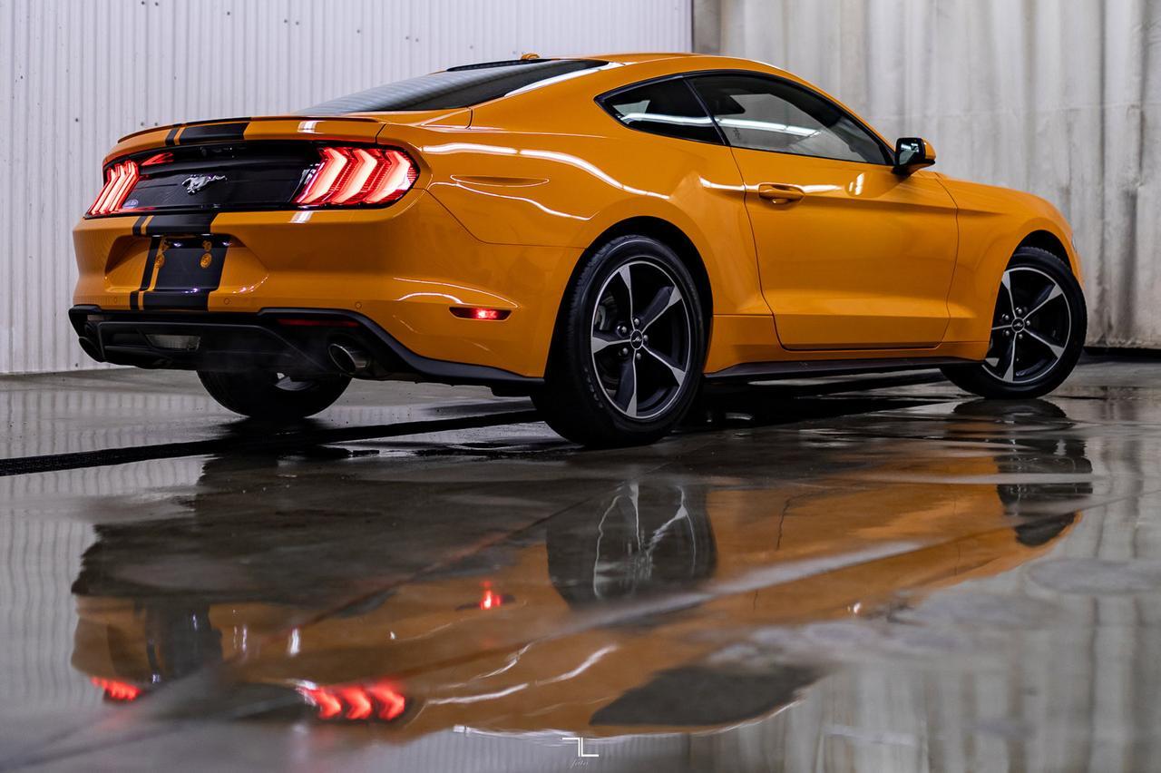 2019 Ford Mustang EcoBoost BCam Red Deer AB