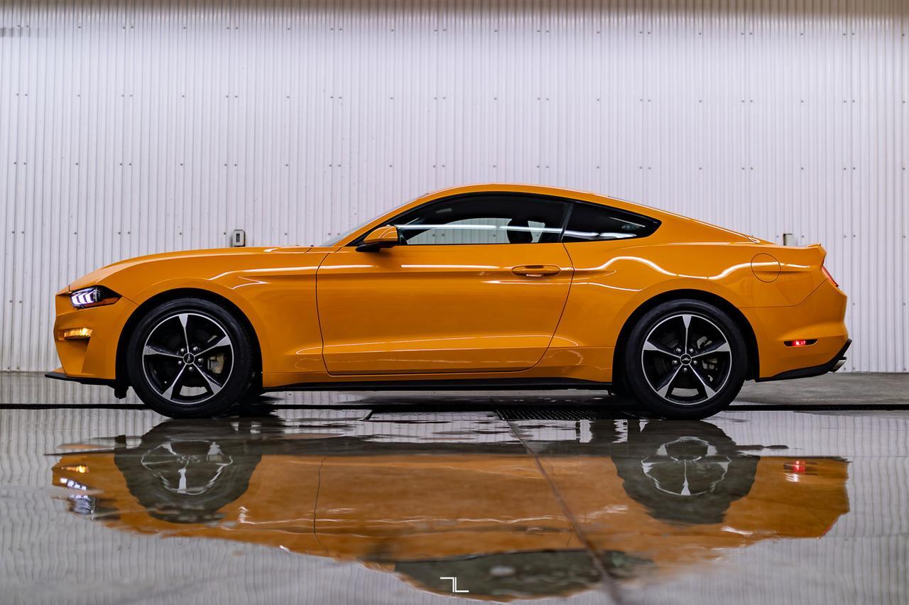 2019 Ford Mustang EcoBoost BCam Red Deer AB