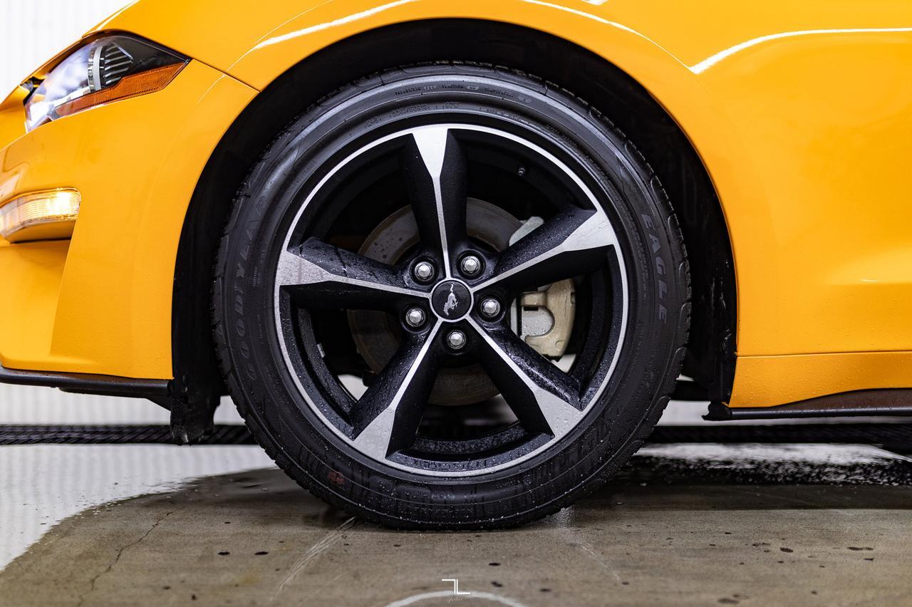 2019 Ford Mustang EcoBoost BCam Red Deer AB