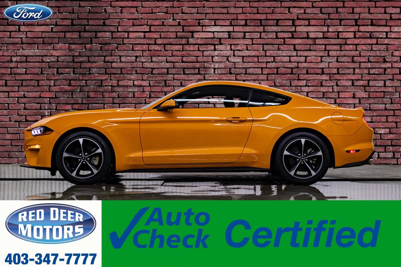 2019 Ford Mustang EcoBoost BCam