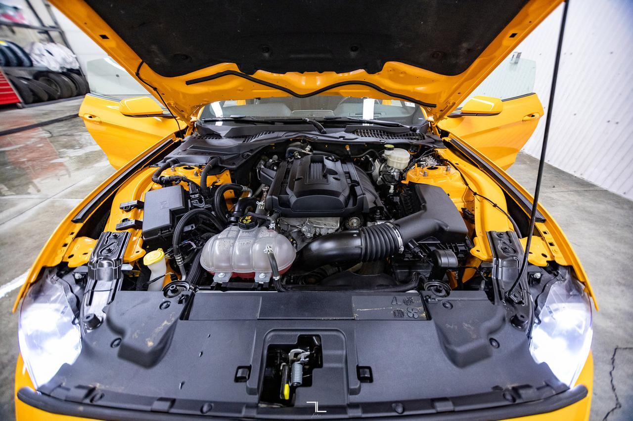 2019 Ford Mustang EcoBoost BCam Red Deer AB