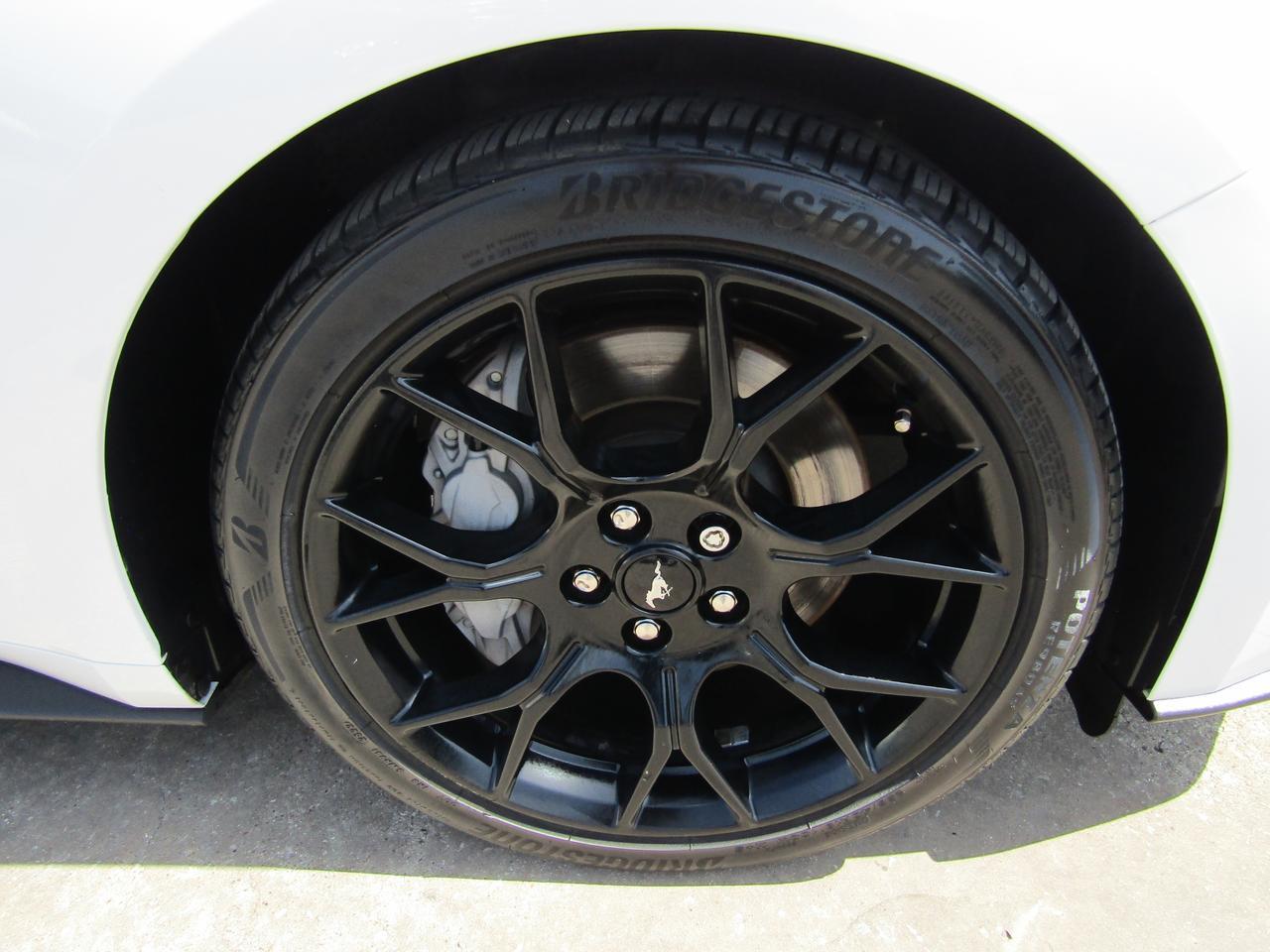 2019 Ford Mustang EcoBoost Fastback Grand Prairie TX