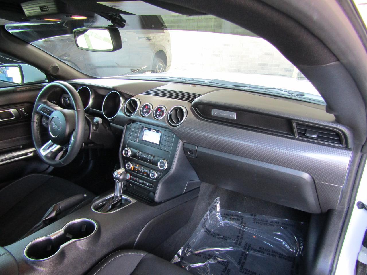 2019 Ford Mustang EcoBoost Fastback Grand Prairie TX