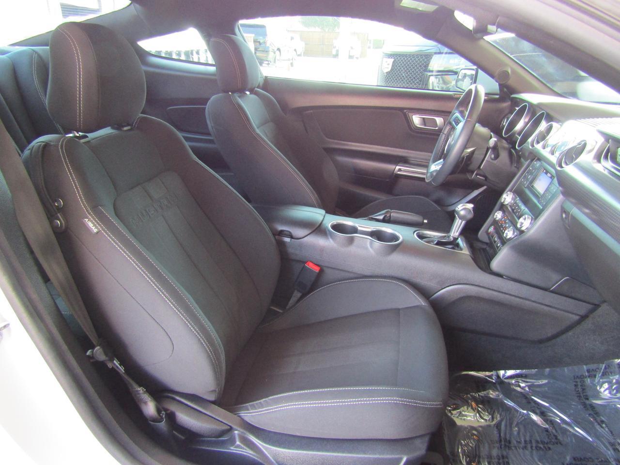 2019 Ford Mustang EcoBoost Fastback Grand Prairie TX