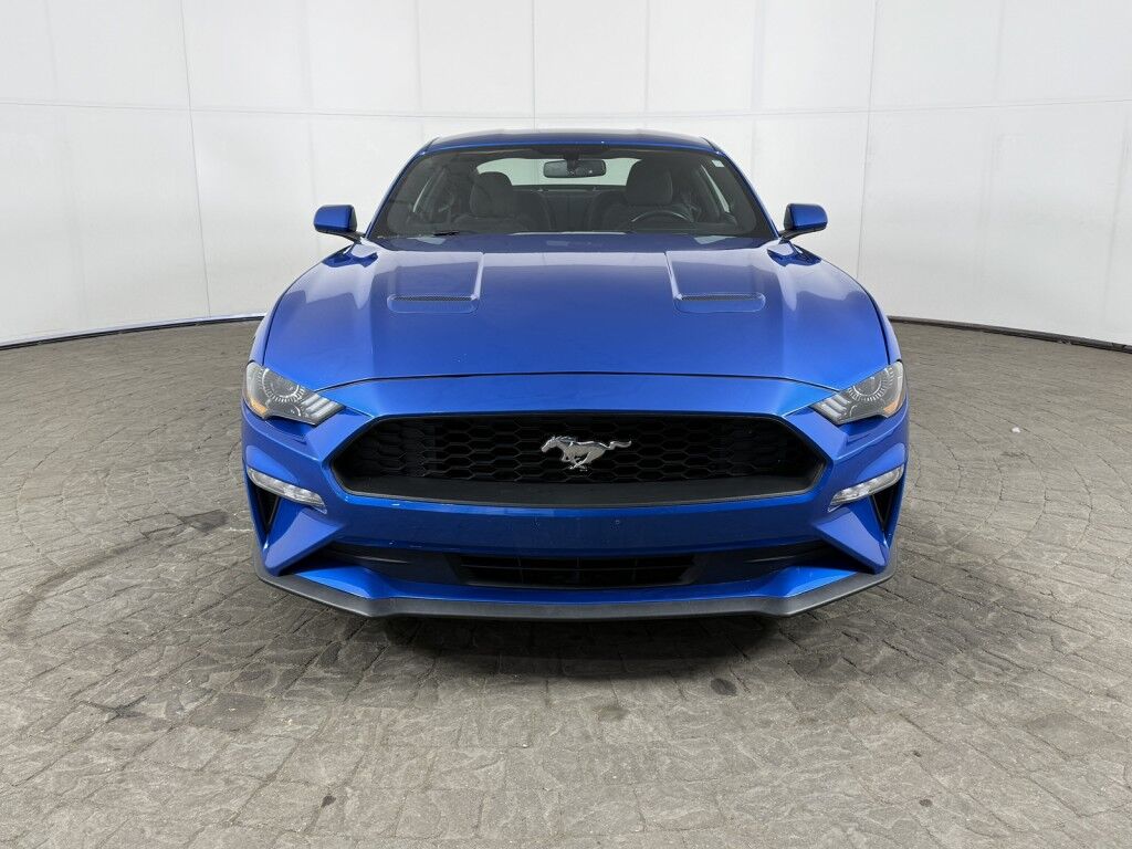 2019 Ford Mustang EcoBoost Fastback Maumee OH