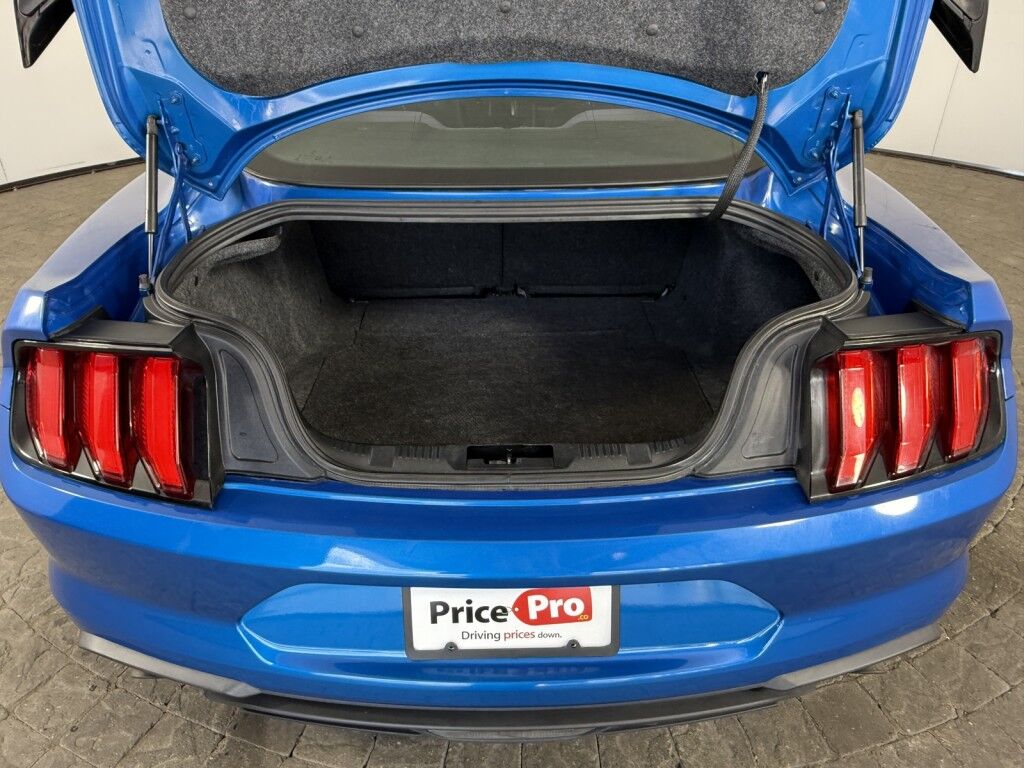 2019 Ford Mustang EcoBoost Fastback Maumee OH