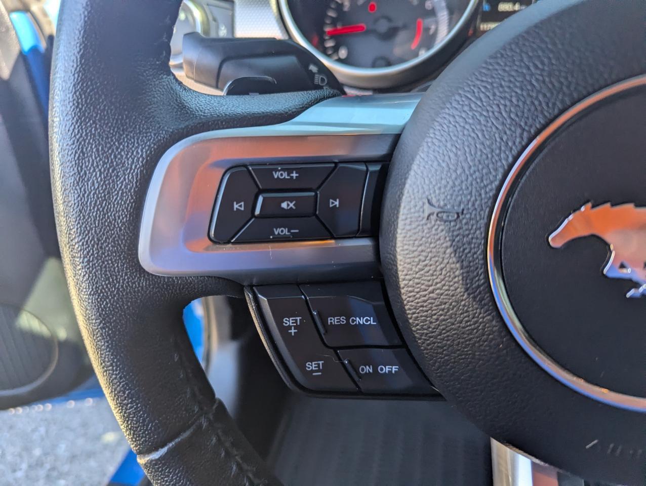 2019 Ford Mustang EcoBoost Grand Junction CO