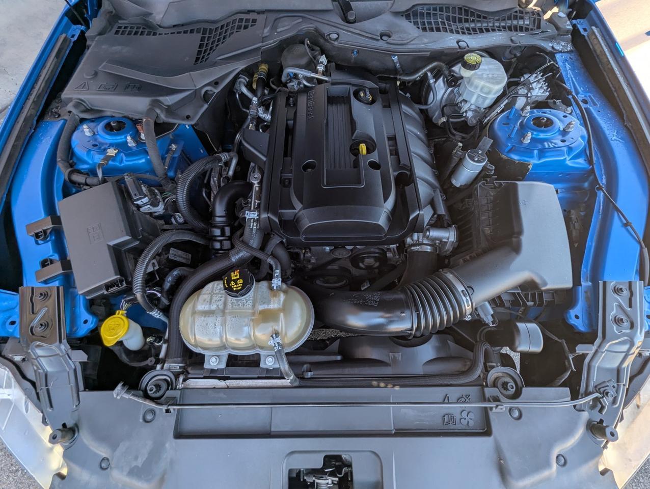 2019 Ford Mustang EcoBoost Grand Junction CO