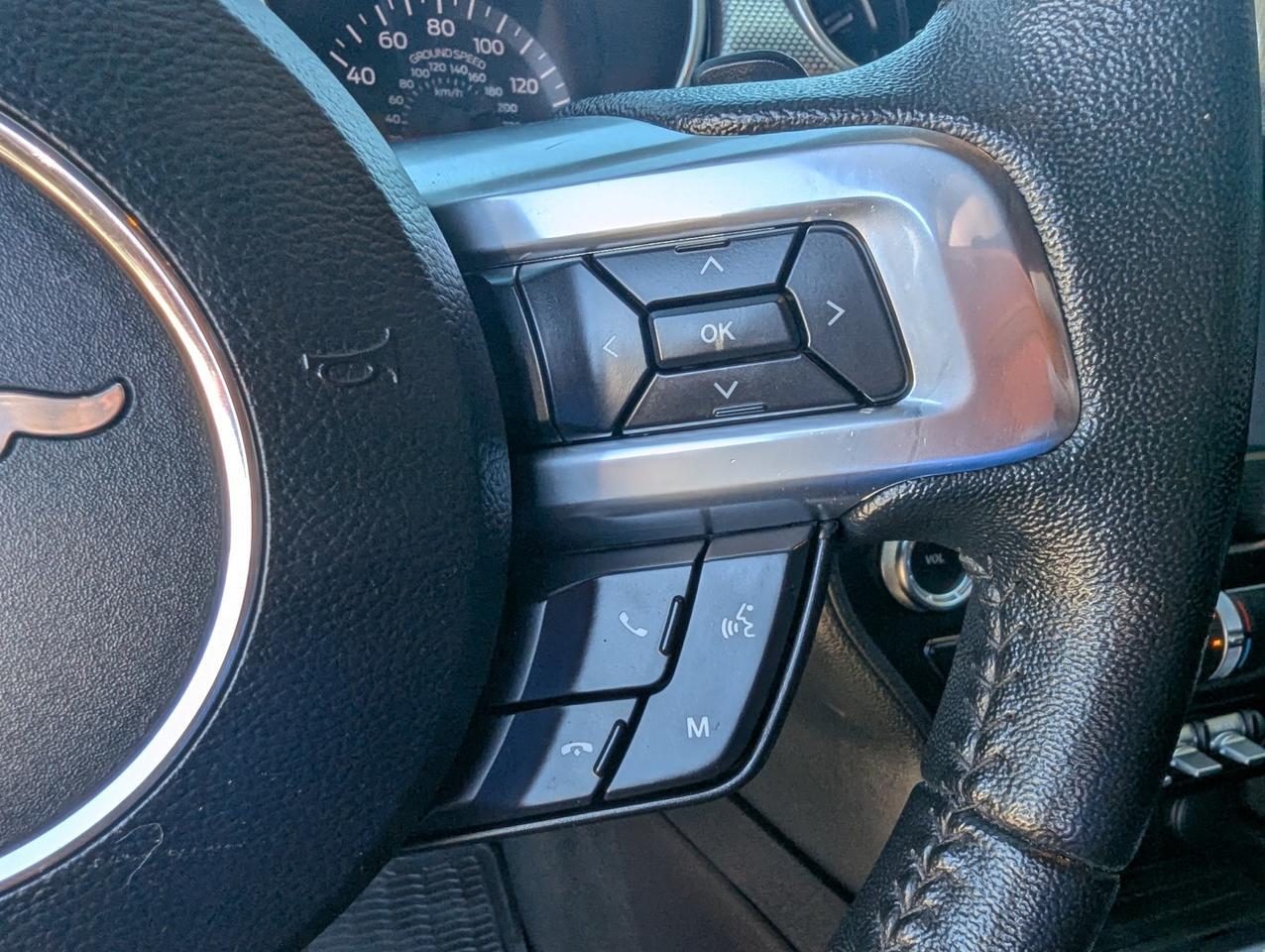 2019 Ford Mustang EcoBoost Grand Junction CO