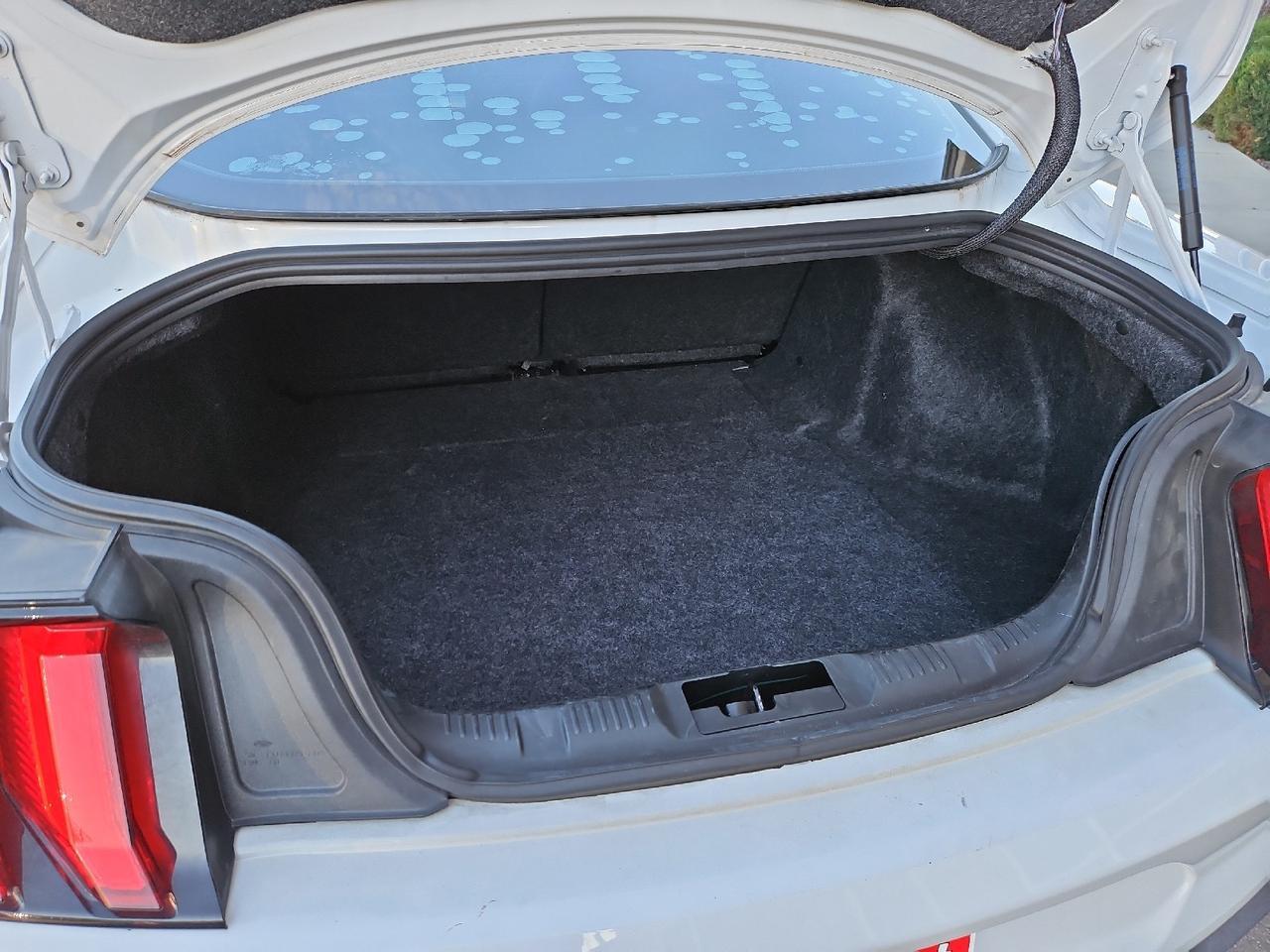 2019 Ford Mustang EcoBoost Grand Junction CO