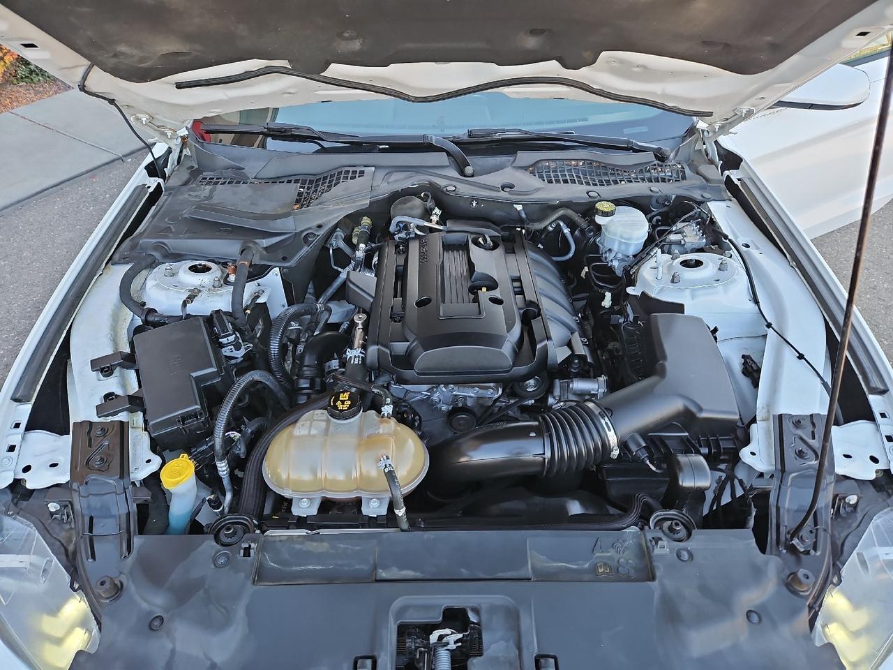 2019 Ford Mustang EcoBoost Grand Junction CO