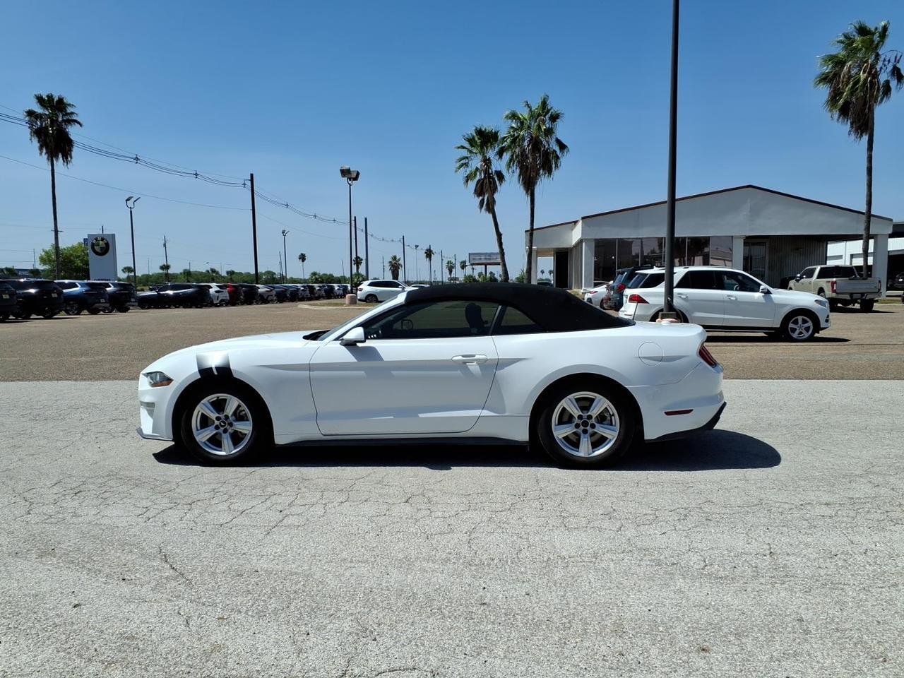 2019 Ford Mustang EcoBoost Harlingen TX