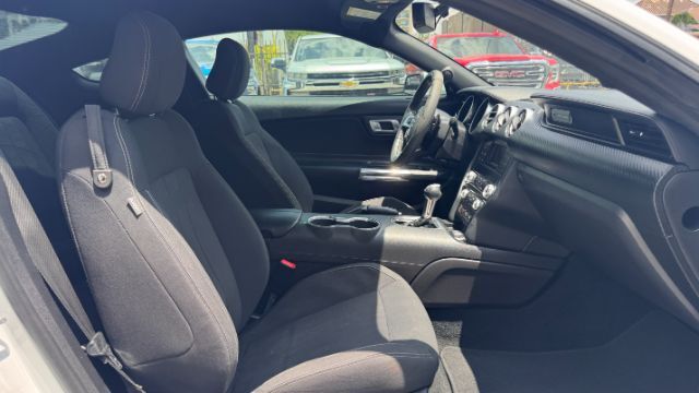 2019 Ford Mustang EcoBoost Houston TX