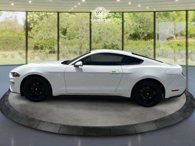 2019 Ford Mustang EcoBoost Houston TX