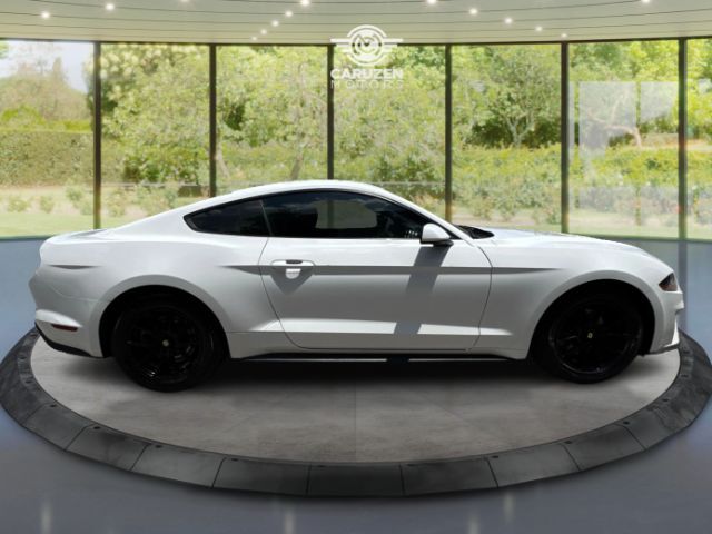 2019 Ford Mustang EcoBoost Houston TX