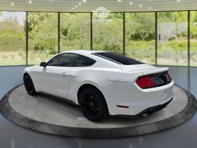 2019 Ford Mustang EcoBoost Houston TX