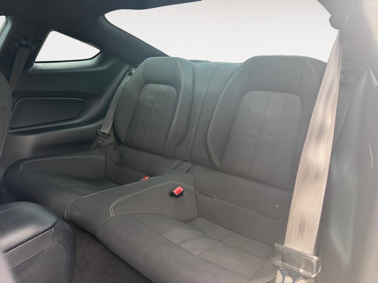 2019 Ford Mustang EcoBoost, POWER MIRRORS, BACKUP CAMERA, BLUETOOTH, HOOD VENTS, CRUISE CONTROL, PUSH BUTTON START, ONLY 1 OWNER, MAKE THIS WILD HORSE YOUR NEXT RIDE! Norfolk VA