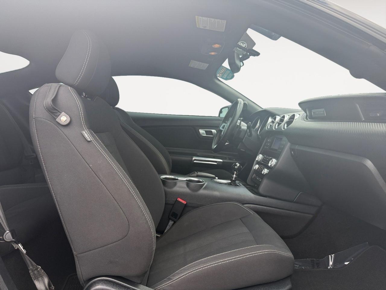 2019 Ford Mustang EcoBoost, POWER MIRRORS, BACKUP CAMERA, BLUETOOTH, HOOD VENTS, CRUISE CONTROL, PUSH BUTTON START, ONLY 1 OWNER, MAKE THIS WILD HORSE YOUR NEXT RIDE! Norfolk VA