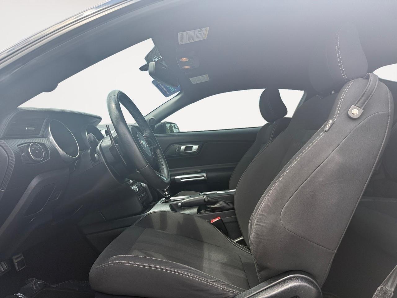 2019 Ford Mustang EcoBoost, POWER MIRRORS, BACKUP CAMERA, BLUETOOTH, HOOD VENTS, CRUISE CONTROL, PUSH BUTTON START, ONLY 1 OWNER, MAKE THIS WILD HORSE YOUR NEXT RIDE! Norfolk VA