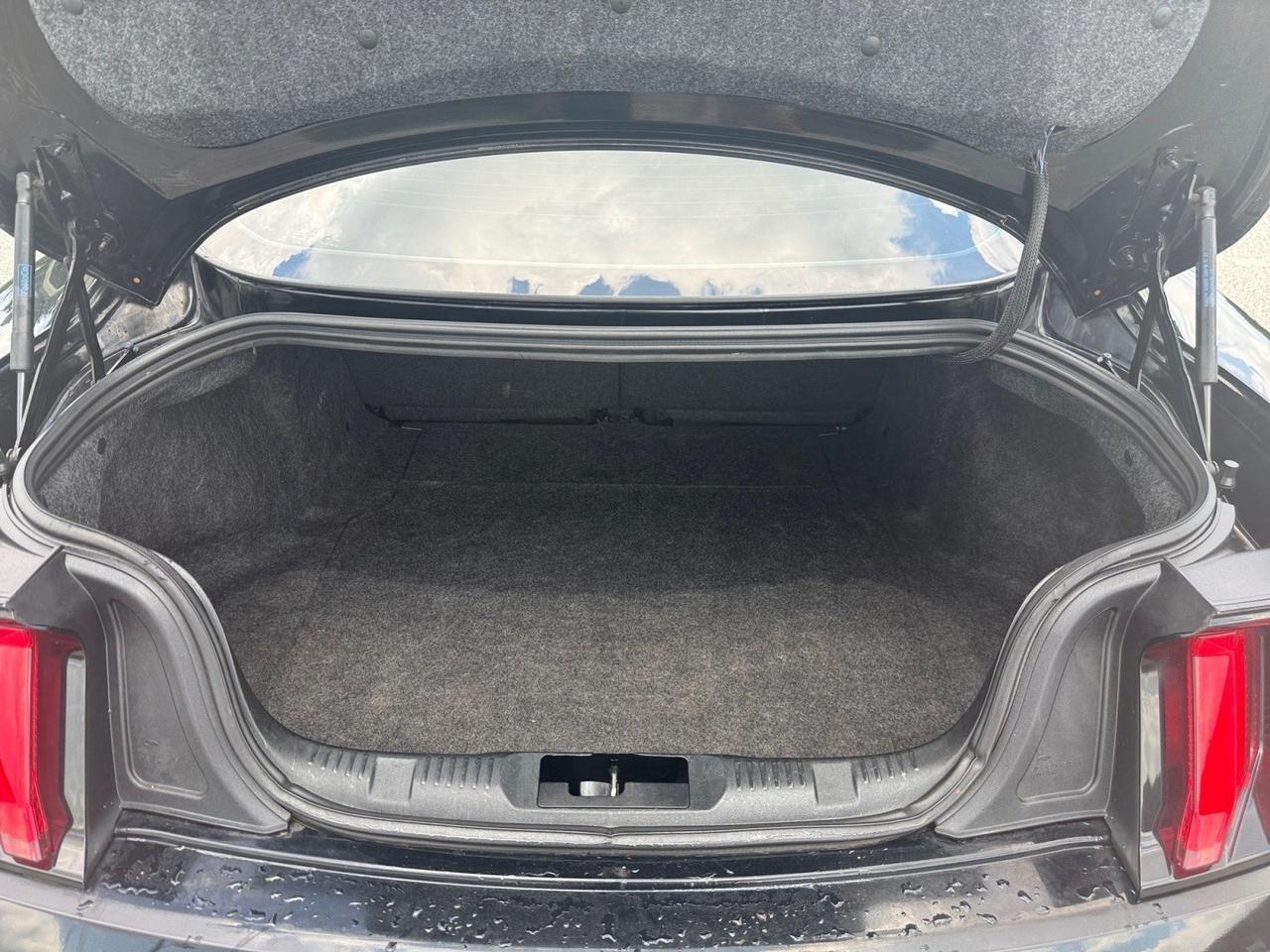 2019 Ford Mustang EcoBoost, POWER MIRRORS, BACKUP CAMERA, BLUETOOTH, HOOD VENTS, CRUISE CONTROL, PUSH BUTTON START, ONLY 1 OWNER, MAKE THIS WILD HORSE YOUR NEXT RIDE! Norfolk VA