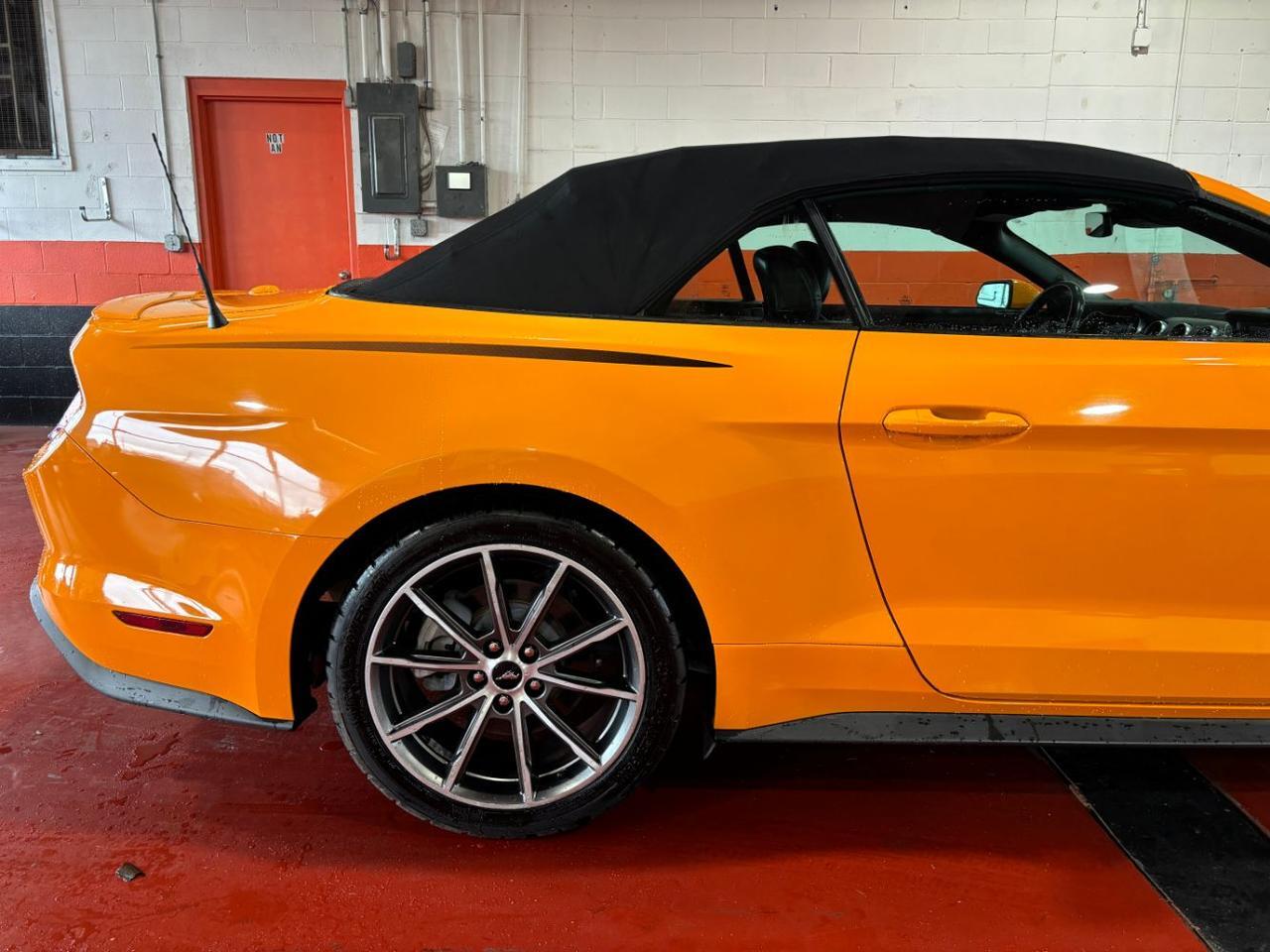 2019 Ford Mustang EcoBoost Premium Franklin OH