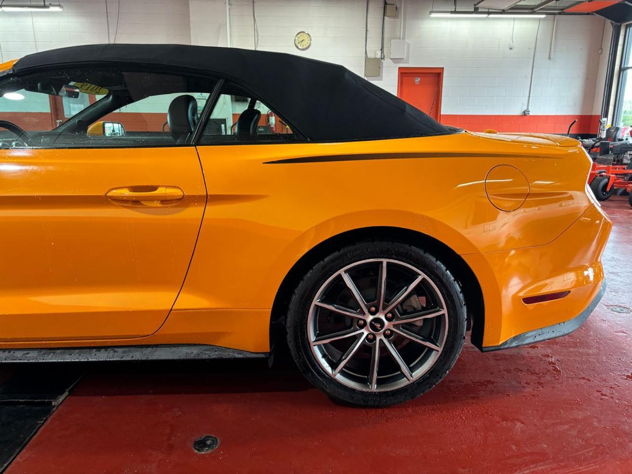 2019 Ford Mustang EcoBoost Premium Franklin OH