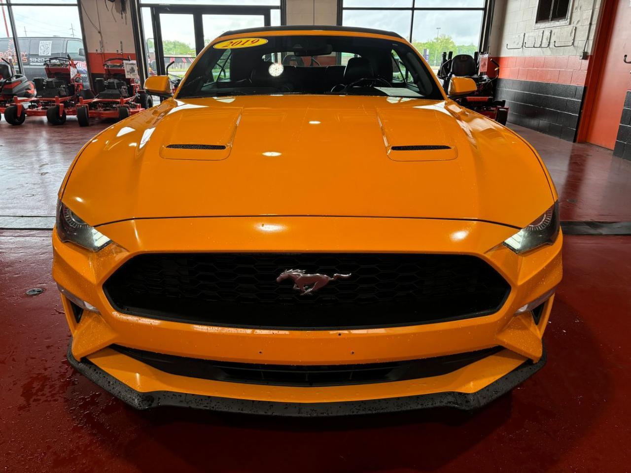 2019 Ford Mustang EcoBoost Premium Franklin OH