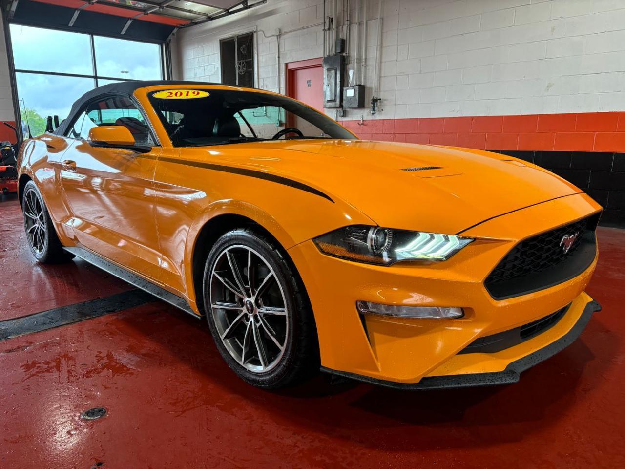 2019 Ford Mustang EcoBoost Premium Franklin OH