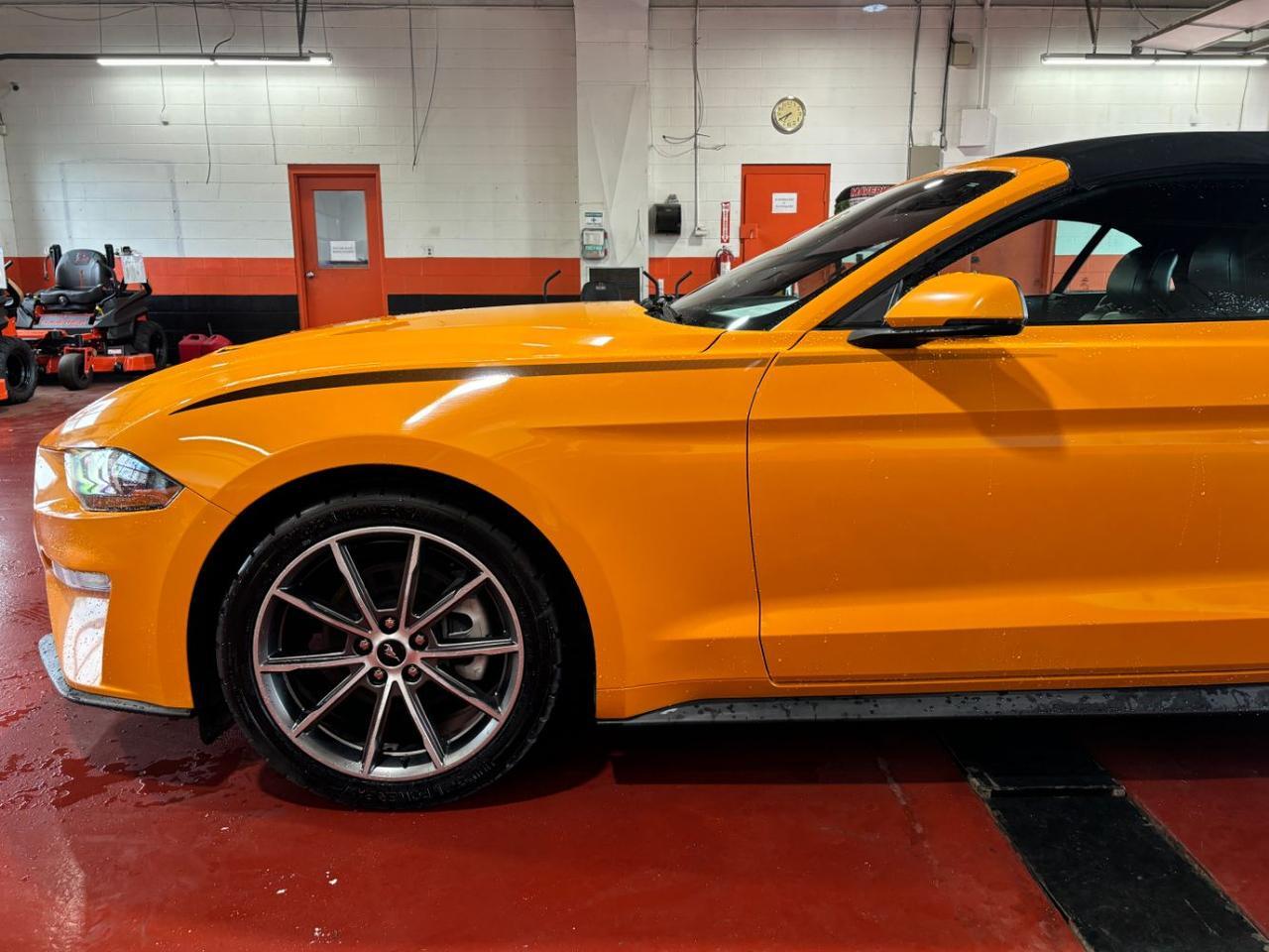 2019 Ford Mustang EcoBoost Premium Franklin OH
