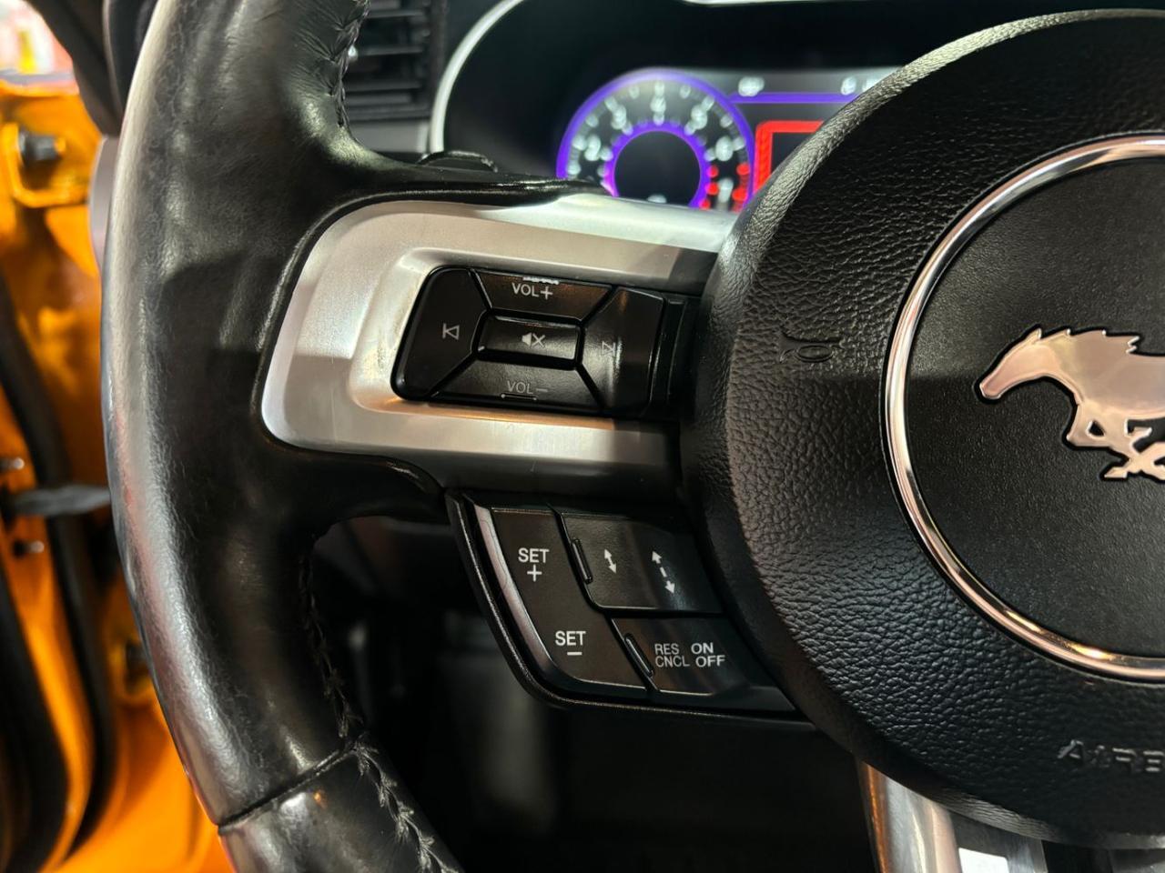 2019 Ford Mustang EcoBoost Premium Franklin OH