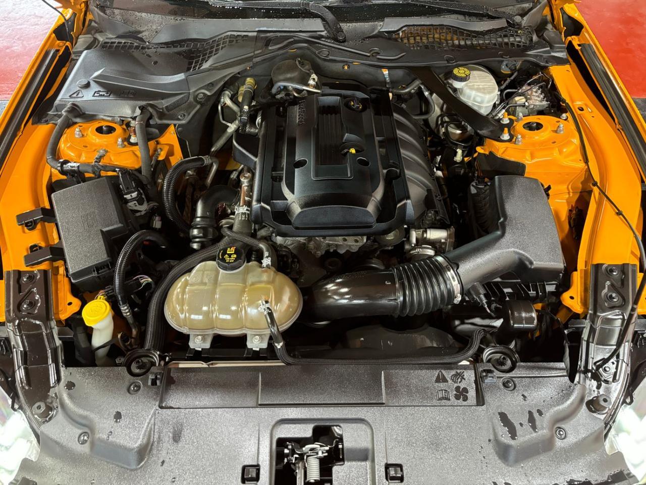 2019 Ford Mustang EcoBoost Premium Franklin OH