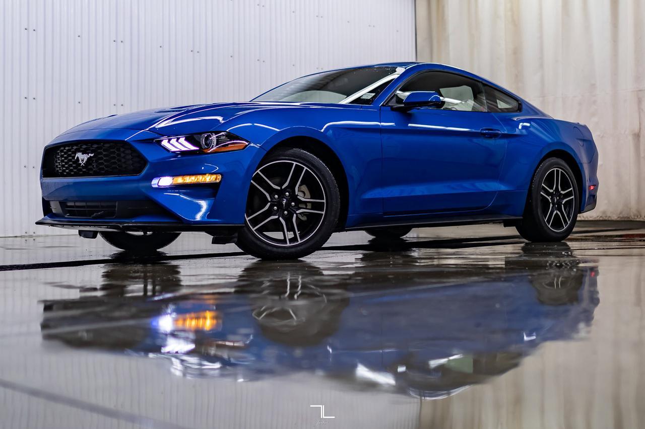 2019 Ford Mustang EcoBoost Premium Leather Nav BCam Red Deer AB