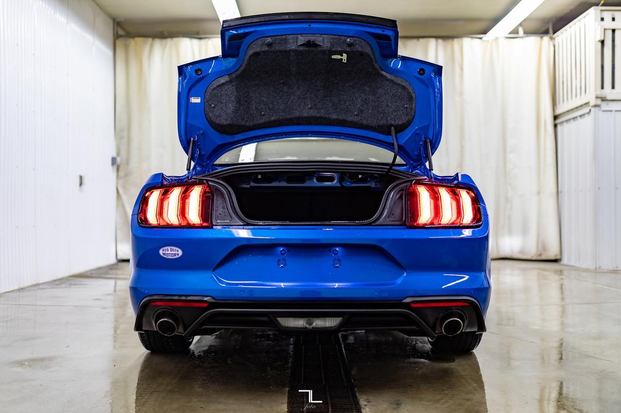 2019 Ford Mustang EcoBoost Premium Leather Nav BCam Red Deer AB