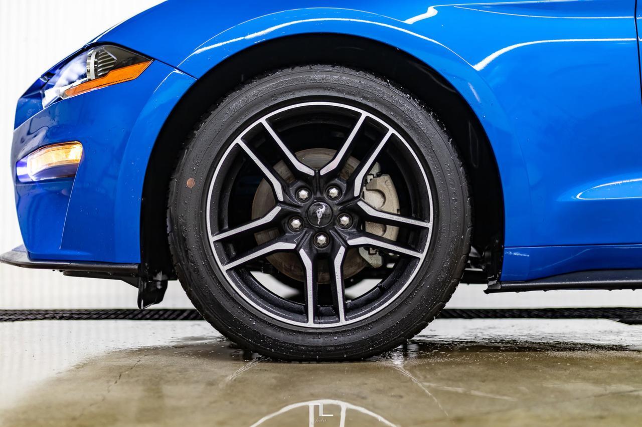 2019 Ford Mustang EcoBoost Premium Leather Nav BCam Red Deer AB