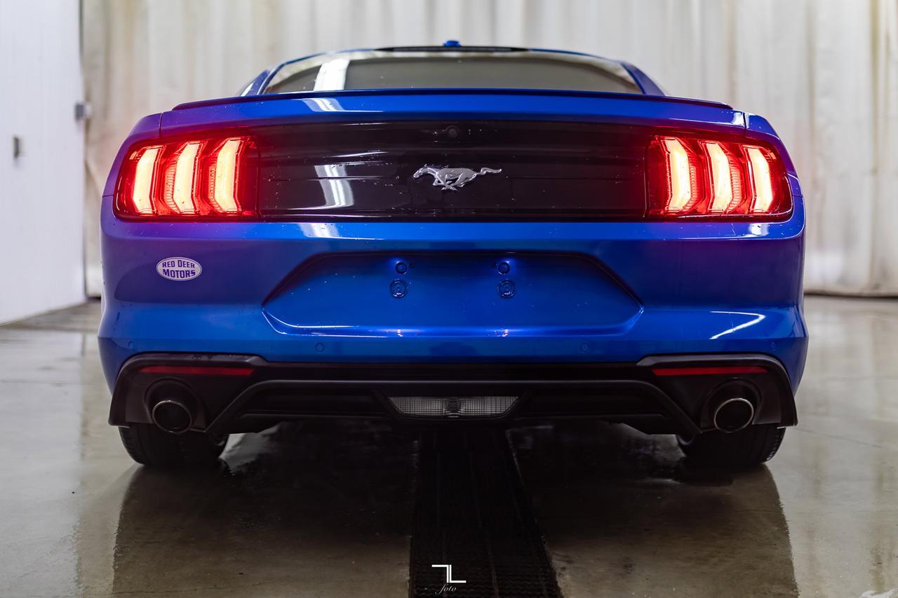 2019 Ford Mustang EcoBoost Premium Leather Nav BCam Red Deer AB